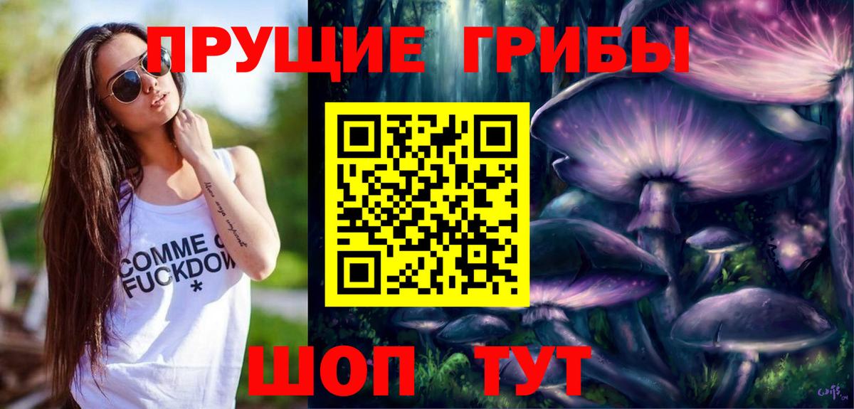 Будённовск  Псилоцибиновые грибы Psilocybe  Псилоцибиновые грибы MAGIC MUSHROOMS  Вход с VPN 